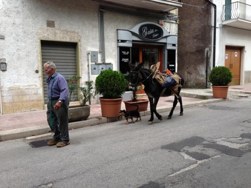 Apartamento Il Pieddo Vico Del Gargano Exterior foto